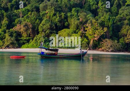 Barche Longtale sulla splendida spiaggia tropicale, Surin isola, Thailandia Foto Stock