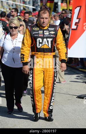 Homestead, Stati Uniti D'America. 17th Nov 2014. Homestead, FL - 16 NOVEMBRE: Ryan Newman alla NASCAR Sprint Cup Series Ford EcoBoost 400 a Homestead-Miami Speedway il 16 novembre 2014 a Homestead, Florida. Persone: Ryan Newman Credit: Storms Media Group/Alamy Live News Foto Stock