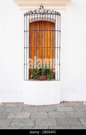 Case e edifici tradizionali colorati di Oaxaca in Messico Foto Stock