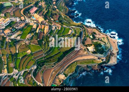 Veduta aerea, terreno terrazato a Place Banyalbufar, Europa, Isole Baleari, Spagna, piattaforma Di Osservazione, Banyalbufar, ES, Espana, Costa, Coastal reg Foto Stock