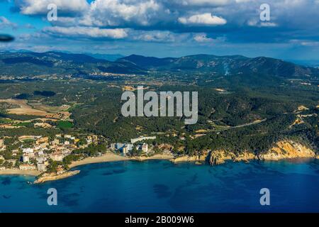 Veduta aerea, area forestale e spiaggia Playa de Tora, montagne Tramuntana, Paguera, Mallorca, Europa, Isole Baleari, Spagna, rimboschimento, Calvià, ES, E. Foto Stock