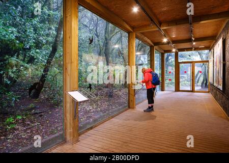 Centro visitatori Laguna Grande nella foresta di alloro, Parco Nazionale Garajonay, la Gomera, Isole Canarie, Spagna Foto Stock