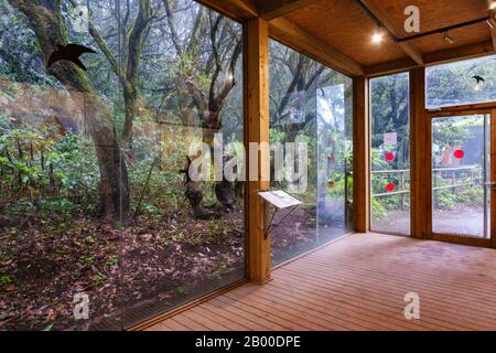 Centro visitatori Laguna Grande nella foresta di alloro, Parco Nazionale Garajonay, la Gomera, Isole Canarie, Spagna Foto Stock