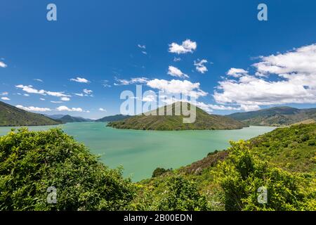 Vista Dal Cullen Point Lookout Al Mahua Sound, Havelock, Marlborough Region, Marlborough Sounds, South Island, Nuova Zelanda Foto Stock