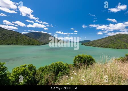 Vista Dal Cullen Point Lookout Al Mahua Sound, Havelock, Marlborough Region, Marlborough Sounds, South Island, Nuova Zelanda Foto Stock