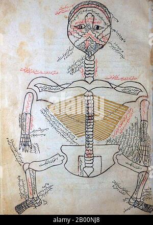 Persia / Iran: 15 ° secolo disegno anatomico dal Tashrīḥ-i badan-i insān. Manṣūr ibn Muḥammad ibn Aḥmad, Tashrīḥ-i badan-i insān ('Anatomia del corpo umano'). Manoscritto persiano, copia non datata; aspetto di carta, scrittura a mano, inchiostro, illustrazioni, ecc. suggeriscono ca. Fine 15 ° o molto inizio 16 ° secolo. Foto Stock