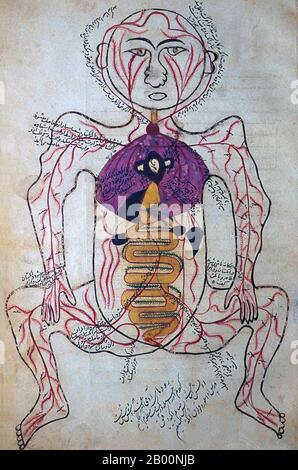 Persia / Iran: 15 ° secolo disegno anatomico dal Tashrīḥ-i badan-i insān. Manṣūr ibn Muḥammad ibn Aḥmad, Tashrīḥ-i badan-i insān ('Anatomia del corpo umano'). Manoscritto persiano, copia non datata; aspetto di carta, scrittura a mano, inchiostro, illustrazioni, ecc. suggeriscono ca. Fine 15 ° o molto inizio 16 ° secolo. Foto Stock