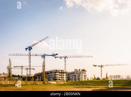 Un cantiere con due edifici in cemento in costruzione e sei grandi gru a torre accanto a un parco pubblico alla fine del pomeriggio. Foto Stock