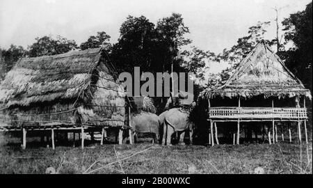 Laos: Due pacchetti elefanti trasportano paglia in un piccolo villaggio nel Laos meridionale nel 1897. Come ‘bestia di fardello’, l’elefante asiatico non è stato classificato con un voto elevato. Potrebbe trasportare poco più di 150 kg nonostante le sue grandi dimensioni. Non potevano essere sovraccarichi per timore di sforzo di cuore e richiedevano cura e alimentazione costanti. Spesso i piedi degli elefanti sono stati hobbled per impedirli vagare. La maggior parte degli elefanti funzionanti sono stati usati per trasportare il legname, che hanno fatto con i loro tronchi. Foto Stock