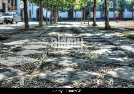 Primo piano del marciapiede nel patio de Banderas, Siviglia, Spagna. Alberi d'arancio. Luci e ombre. Modello. Foto Stock