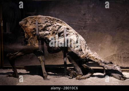 La Grotta del sale di Çankırı è una grotta molto antica che mostra i record di attività umana risalenti al periodo ittita. Foto Stock