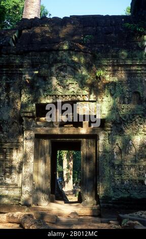 Cambogia: TA Prohm, Angkor. TA Prohm è stato costruito in stile Bayon in gran parte nel tardo 12th ° e all'inizio del 13th ° secolo e originariamente chiamato Rajavihara. Fu fondata dal re Khmer Jayavarman VII come monastero buddista Mahayana e università. Gli alberi che crescono dalle rovine sono la caratteristica più distintiva di Ta Prohm. Predominano due specie, la più grande è l'albero di seta-cotone (Ceiba pentandra) o thitpok (Tetrameles nudiflora), e la più piccola è il fico strangler (Ficus gibbosa) o la mela d'oro (Diospyros decandra). Foto Stock