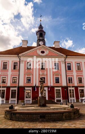 Municipio Di Tartu E Fontana Foto Stock