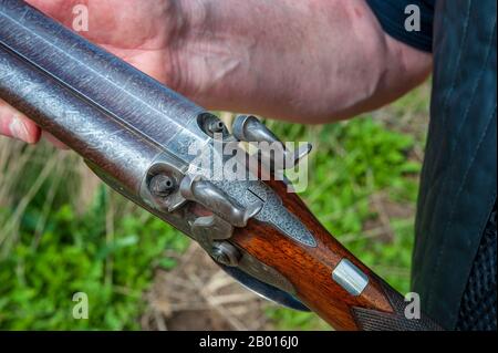 Un fucile a percussione a doppio fusto a 11 bore di Birmingham, Inghilterra, Westley Richards, produttore britannico di armi, prodotto nel 1841 come arma da fuoco per il loro agente londinese, William Bishop Foto Stock