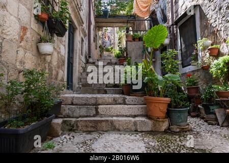 Dubrovnik, Croazia - 24 aprile 2019: Piccola strada con piante alla linea di lavaggio nel centro storico medievale della città di Dubrovnik, Croazia. Foto Stock