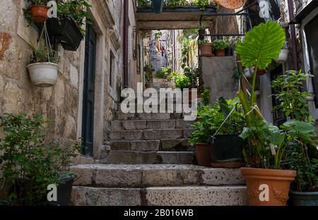 Dubrovnik, Croazia - 24 aprile 2019: Piccola strada con piante alla linea di lavaggio nel centro storico medievale della città di Dubrovnik, Croazia. Foto Stock