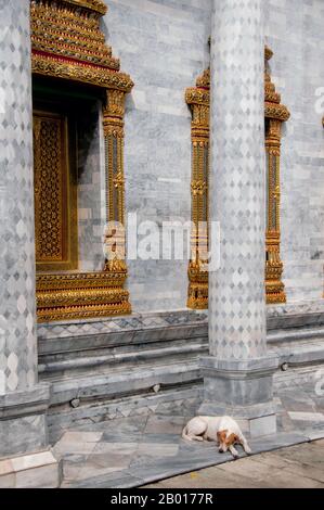 Thailandia: Un cane che dorme a Wat Ratchapradit, Bangkok. Wat Ratchapradit (Rajapradit) fu costruito a metà del 19th secolo durante il regno di Re Mongkut (Rama IV). Molti dei murales nel viharn principale ritraggono cerimonie e festival thailandesi che si svolgono durante l'anno e sono stati dipinti alla fine del 19th secolo. Foto Stock