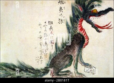 Giappone: Un mostruoso lupo Ezo (Hokkaido). Dal Kaikidan Ekotoba Monster Scroll, metà del 19th secolo. Questa illustrazione mostra un lupo di Ezo (noto anche come lupo di Hokkaido), che si ritiene si sia estinto alla fine del 19th secolo, dopo che questa illustrazione è stata fatta. L'animale è visto qui con la sua zampa su un cranio umano. Il Kaikidan Ekotoba è un manscroll della metà del 19th secolo che traccia 33 mostri leggendari e stranezze umane, principalmente provenienti dalla regione di Kyushu in Giappone, ma con molti di altri paesi, tra cui Cina, Russia e Corea. Il documento, il cui autore è sconosciuto, è nel po Foto Stock