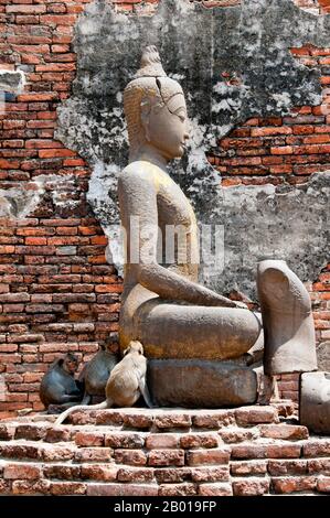 Thailandia: Buddha e scimmie a Prang Sam Yot (un tempio Khmer), Lopburi. Prang Sam Yot, originariamente un santuario Khmer Hindu, ha tre prangs che rappresentavano Brahma, Vishnu, e Shiva (la trinità Indù). Fu poi convertito in un santuario buddista. Il centro storico di Lopburi risale all'epoca dei Dvaravati (6th - 13th secolo). Originariamente era conosciuto come Lavo o Lavapura. Dopo la fondazione del regno di Ayutthaya nel XV secolo, Lopburi era una roccaforte dei governanti di Ayutthaya. In seguito divenne una nuova capitale reale durante il regno di re Narai il Grande del regno di Ayutthaya. Foto Stock