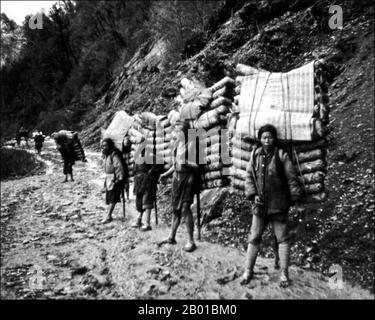 Cina: Tea Porters su Tea Horse Road, Sichuan occidentale. Foto di Ernest Henry Wilson (15 febbraio 1876 - 15 ottobre 1930), c.. 1908. La Tea Horse Road (Cha ma Dao) era una rete di sentieri carovani che si snodavano tra le montagne di Yunnan, Sichuan e Tibet nella Cina sudoccidentale. È anche a volte indicato come la strada della seta meridionale e l'antica strada del cavallo del tè. Circa mille anni fa, l'antica via del tè era un collegamento commerciale tra Yunnan, una delle prime regioni produttrici di tè, e l'India attraverso la Birmania, il Tibet e la Cina centrale attraverso la provincia del Sichuan. Foto Stock