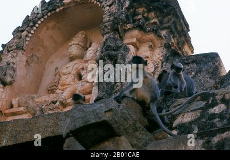 I langur grigi o i langur Hanuman sono i langur più diffusi dell'Asia meridionale. Il Tempio di Virupaksha (conosciuto anche come Tempio di Pampapathi) è il principale centro di pellegrinaggio di Hampi. E' completamente intatto tra le rovine circostanti ed è ancora usato nel culto. Il tempio è dedicato al Signore Shiva, qui conosciuto come Virupaksha, come la consorte della dea locale Pampa, associata al fiume Tungabhadra. Hampi è un villaggio nello stato del Karnataka settentrionale. Si trova all'interno delle rovine di Vijayanagara, l'ex capitale dell'Impero Vijayanagara. Risalente alla città di Vijayanagara, continua Foto Stock