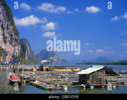 Thailandia: Villaggio di pescatori musulmani di Panyi, Parco Nazionale di Ao Phang Nga (Baia di Phangnga), Provincia di Phang Nga. Ko Panyi è un enorme affioramento carsico nel lee di cui un prospero villaggio di pescatori musulmano tailandese si rifugia dal Monsone Sud-Ovest. L'insolita ubicazione del villaggio di pescatori musulmano palafittato, insieme alla moschea e al minareto inaspettati, ha fornito agli abitanti di Ko Panyi una fonte di reddito supplementare inaspettata e gradita negli anni dall'avvento del turismo. Anche se l'isola è diventata commercializzata, la gente è notevolmente aperta e amichevole. Foto Stock