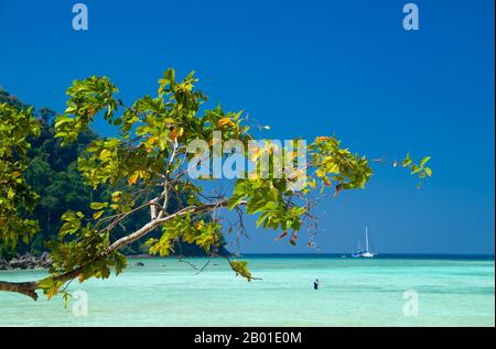 Thailandia: Spiaggia di Mae Ngam, Ko Surin Nua, Parco Nazionale Marino delle Isole Surin. Il Parco Nazionale Marino di Ko Surin è una delle ultime frontiere della Thailandia per immersioni e vela. Questo parco marino del Mare delle Andamane contiene alcune delle barriere coralline più sviluppate del paese. L'arcipelago di Koh Surin è un'area di 135 chilometri quadrati situata nel Mare delle Andamane, a circa 60 chilometri (38 miglia) dalla provincia continentale di Ranong. Le cinque isole del parco si trovano a sud del confine con la Birmania. Koh Surin Nua, una delle due isole principali, ha una superficie di circa 19 chilometri quadrati. Foto Stock