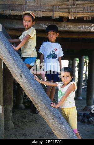 Vietnam: Bambini Tai bianchi vicino a Chan Nua, 30 km a sud di Pa Tan, Vietnam nord-occidentale. Nelle strette valli montane delle province di Son la, Dien Bien e Lai Chau del Nord Vietnam il Tai rimane una minoranza molto notevole e fiduciosa. Sono divisi in Tai Bianco e Tai Nero comunità, mentre più a sud, dalla frontiera Lao in Thanh Hoa e Nghe An Province, Tai Rosso predominano. Questi sottogruppi si distinguono per il vestito delle loro donne. I Tai del Vietnam sono persone delle valli montane. Coltivando risaie di riso bagnate sono relativamente prospere. Foto Stock