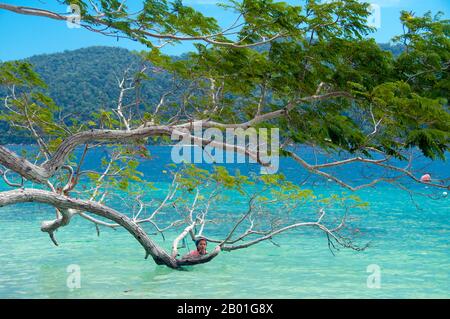 Thailandia: Ko Rawi, Ko Tarutao Marine National Park. Ko Rawi è la seconda isola più grande del gruppo Adang-Rawi che fa parte a sua volta del Parco Nazionale Marino di Ko Tarutao. Ha una superficie di circa 29 kmq (11,5 kmq) e si trova a soli 10 km (6 miglia) ad ovest di Ko Adang. Il Parco Nazionale Marino di Ko Tarutao consiste di 51 isole in due gruppi principali sparsi attraverso il Mare delle Andamane nella Thailandia più meridionale. Solo sette delle isole sono di qualsiasi dimensione, tra cui Ko Tarutao a est, e Ko Adang-Ko Rawi a ovest. Foto Stock