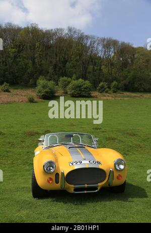 Una replica gialla di AC Cobra parcheggiata in un campo nel Worcestershire, Inghilterra, Regno Unito. Foto Stock