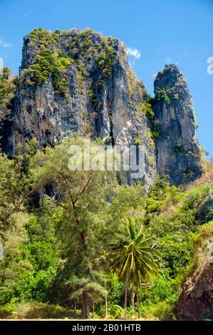 Thailandia: Scogliere calcaree all'estremità settentrionale di Hat Yao, provincia di Trang. La provincia di Trang dipendeva dall'estrazione dello stagno fino a quando le prime piantine di gomma furono portate in Thailandia intorno al 1901 - parte di un lungo viaggio dal Sud America attraverso i vicini stati malesi. La gomma, l'olio di palma e la pesca sono i pilastri dell'economia della provincia. Il turismo sta avendo un impatto crescente poiché la costa delle Andamane e le isole di Trang sono sempre più sviluppate e diffuse. Foto Stock