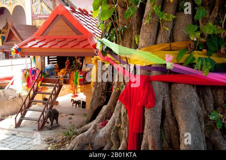 Thailandia: Casa dello spirito e un albero di bo avvolto, Wat si Lom, Lampang, provincia di Lampang. Molti thailandesi credono che ogni casa dovrebbe avere il proprio spirito casa che provvede al benessere dello spirito locale. Questi possono essere ovunque nel giardino (anche, nelle grandi città, sul tetto), con l'importante condizione che l'ombra dell'abitazione umana non dovrebbe mai cadere sulla casa dello spirito, la casa del vero e originale proprietario della terra, i chao thii. Foto Stock