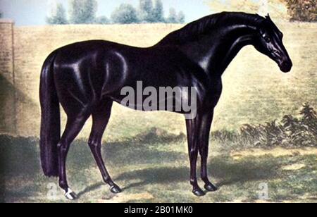 Regno Unito: "The Godolphin Arab". Olio su tela dipinto di George Stubbs (24 agosto 1724 - 10 luglio 1806), c. 1750s.. Il Godolphin Arabian (c. 1724-1753), noto anche come Godolphin Barb, era un cavallo arabo che fu uno dei tre stalloni che furono i fondatori del moderno stock di sangue delle corse di cavalli purosangue (gli altri due sono il Darley Arabian e il Byerley Turk). Gli fu dato il nome del suo più noto proprietario, Francis Godolphin, II conte di Godolphin. Foto Stock