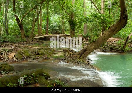 Thailandia: Una delle tante piscine color smeraldo del parco, rispetto al Bokkharani National Park, provincia di Krabi. Il Parco Nazionale di Than Bokkharani si trova nella provincia di Krabi a circa 45 chilometri (28 miglia) a nord-ovest della città di Krabi. Il parco copre un'area di 121 chilometri quadrati (47 miglia quadrate) ed è caratterizzato da una serie di affioramenti calcarei, foreste pluviali sempreverdi, foreste di mangrovie, torbiere e molte isole. Ci sono anche numerose grotte e complessi rupestri con alcune spettacolari stalagmiti e stalattiti. Il Bokkharani è incentrato su due famose grotte, Tham Lot e Tham Phi Hua. Foto Stock