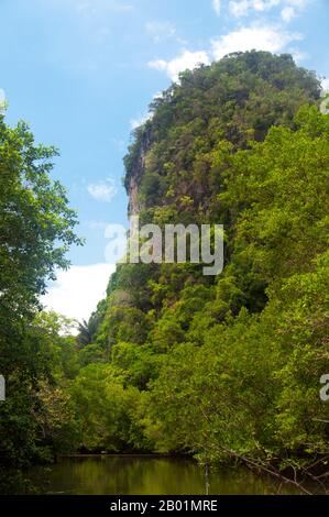 Thailandia: Affioramenti di calcare e mangrovie nel Parco nazionale del Bokkharani, provincia di Krabi. Il Parco Nazionale di Than Bokkharani si trova nella provincia di Krabi a circa 45 chilometri (28 miglia) a nord-ovest della città di Krabi. Il parco copre un'area di 121 chilometri quadrati (47 miglia quadrate) ed è caratterizzato da una serie di affioramenti calcarei, foreste pluviali sempreverdi, foreste di mangrovie, torbiere e molte isole. Ci sono anche numerose grotte e complessi rupestri con alcune spettacolari stalagmiti e stalattiti. Il Bokkharani è incentrato su due famose grotte, Tham Lot e Tham Phi Hua. Foto Stock