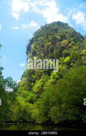 Thailandia: Affioramenti di calcare e mangrovie nel Parco nazionale del Bokkharani, provincia di Krabi. Il Parco Nazionale di Than Bokkharani si trova nella provincia di Krabi a circa 45 chilometri (28 miglia) a nord-ovest della città di Krabi. Il parco copre un'area di 121 chilometri quadrati (47 miglia quadrate) ed è caratterizzato da una serie di affioramenti calcarei, foreste pluviali sempreverdi, foreste di mangrovie, torbiere e molte isole. Ci sono anche numerose grotte e complessi rupestri con alcune spettacolari stalagmiti e stalattiti. Il Bokkharani è incentrato su due famose grotte, Tham Lot e Tham Phi Hua. Foto Stock