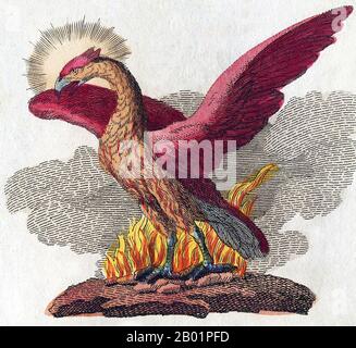 Germania: Una Phoenix. Litografia da un libro di creature mitologiche di Friedrich Johann Justin Bertuch (30 settembre 1747 - 3 aprile 1822), 1806. La fenice è un mitico uccello di fuoco sacro che può essere trovato nelle mitologie di Persiani, Greci, Romani, Egiziani, cinesi e (secondo Sanchuniathon) Fenici. Una fenice è un mitico uccello che è uno spirito di fuoco con un piumaggio colorato e una coda di oro e scarlatto (o viola, blu e verde secondo alcune leggende). Ha un ciclo di vita da 500 a 1000 anni, vicino alla fine del quale si costruisce un nido di ramoscelli che poi si accende. Foto Stock