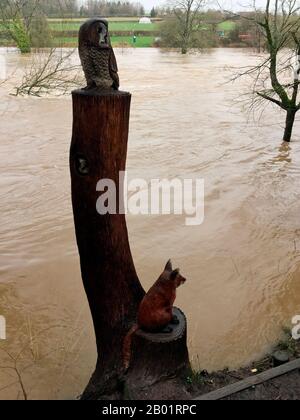 Motosega intagliata gufo e volpe su tree stump che si affaccia sul fiume Wye a Hay su Wye il fiume ha raggiunto esso è più alto livello di 5.05 metri registrato sull'altezza locale del fiume indicatore Foto Stock