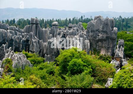 Cina: Stone Forest (Shilin), Shilin Yi Autonomous County, Yunnan Province. Shilin (la Foresta di pietra) è una fantasia ultraterrena di formazioni calcaree contorte che compongono il più grande labirinto di pietra naturale del mondo. I geologi affermano che le strutture hanno avuto origine 200 milioni di anni fa con l'interazione di calcare, acqua marina, acqua piovana e sconvolgimenti sismici. I bizzarri pinnacoli che ne risultarono sono del tipo distintivo di calcare chiamato carsico, la stessa geologia che si trova a Guilin. Foto Stock