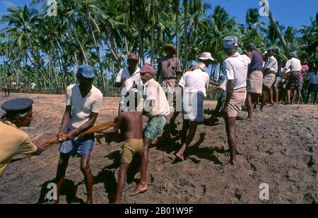 Sri Lanka: Pescatori di reti da posta derivanti, Wadduwa, provincia occidentale. Wadduwa è famosa per la sua ricca coltivazione di palme da cocco e come importante produttore di toddy e aceto. È rinomata per i suoi prodotti a base di fibre di cocco, come scope, tappeti, ecc. Foto Stock