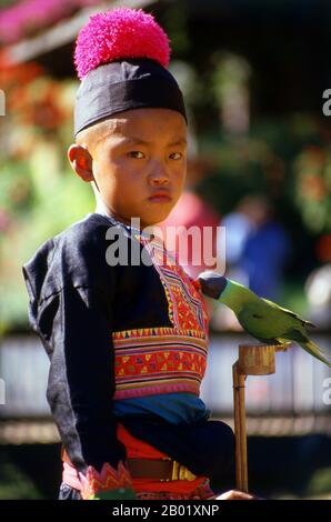 Thailandia: Un ragazzo della tribù Hmong con il suo pappagallo domestico, Mae sa Valley, vicino a Chiang mai, nel nord della Thailandia. Gli Hmong sono un gruppo etnico asiatico proveniente dalle regioni montuose di Cina, Vietnam, Laos e Thailandia. Gli Hmong sono anche uno dei sottogruppi dell'etnia Miao nella Cina meridionale. I gruppi Hmong iniziarono una graduale migrazione verso sud nel XVIII secolo a causa di disordini politici e per trovare più terre coltivabili. Foto Stock