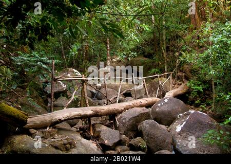 Thailandia: Vecchio ponte di legno su un sentiero nel Parco Nazionale Nam Tok Phlio (Phliw), provincia di Chanthaburi. Il parco nazionale Namtok Phlio è stato designato parco nazionale nel 1975 e originariamente chiamato parco nazionale di Khao sa BAP. Copre un'area di 135 kmq (52 km²) e contiene alcune delle foreste pluviali più lussureggianti della Thailandia. La fauna selvatica all'interno del parco comprende 32 specie di mammiferi e 156 specie di uccelli. Cervi abbaianti, tigre, leopardo e orso nero asiatico sono tra i suoi abitanti più grandi. Foto Stock