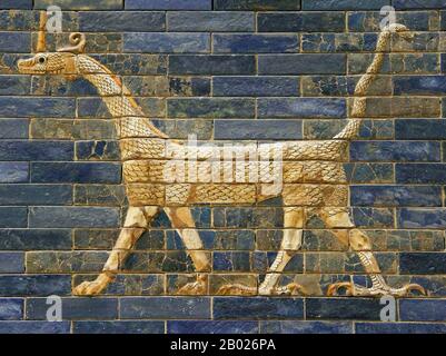 La porta di Ishtar (persiano: دروازه ایشتار‎) (arabo: بوابة عشتار‎) era l'ottava porta della città interna di Babilonia. Fu costruito nel 575 a.C. circa per ordine del re Nebuchadnezzar II sul lato nord della città. Dedicata alla dea babilonese Ishtar, la porta fu costruita utilizzando mattoni vetrati con file alternate di bassorilievo mušḫuššu (draghi) e aurochi. Il tetto e le porte della porta erano di cedro, secondo la targa di dedicazione. Attraverso il cancello correva la via Processionale, che era fiancheggiata da pareti coperte di leoni su mattoni smaltati (circa 120 di loro). Ishtar porta ha solo Foto Stock