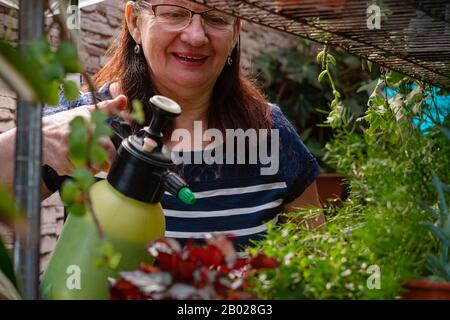 Donna gioiosa e anziana che si prende cura di piante domestiche. Hobby del giardiniere Foto Stock