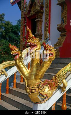 Thailandia: Una naga a tre teste (serpente mitico) emerge dalla foce di una makara (creatura marina mitica), balaustra che conduce al viharn principale a Wat Phrathat Doi Saket, Chiang mai, nel nord della Thailandia. Makara è una creatura marina nella mitologia indù. È generalmente raffigurato come un animale metà terrestre (nella parte frontale in forme animali di elefante o coccodrillo o cervo) e nella parte posteriore come acquatico, nella parte posteriore come coda di pesce o anche come foca. A volte viene raffigurata anche una coda di pavone. È spesso raffigurato per proteggere gli ingressi ai templi indù e buddisti. Foto Stock