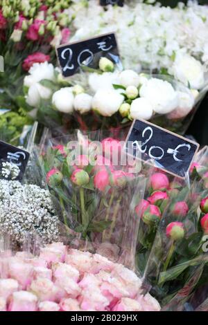 Rosa pallido, Ranunculus bianco ad un mercato a Parigi. Bouquet Di fiori Freschi in vendita. Fiori Di Nozze. Foto Stock