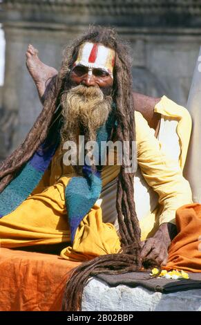 Nepal: Sadhu (uomo Santo) pratica yoga a Pashupatinath, Kathmandu. Sono conosciuti, variamente, come sadhus (santi, o "buoni"), yogis (praticanti ascetici), fakir (cercatore ascetico dopo la verità) e sannyasin (mendicanti vaganti e ascetici). Sono i praticanti ascetici - e spesso eccentrici - di una forma austera di induismo. Giurando di scacciare i desideri terreni, alcuni scelgono di vivere come anacoriti nella natura selvaggia. Altri sono di una disposizione meno ritirata, specialmente nelle città e nei templi della valle di Kathmandu in Nepal. Foto Stock