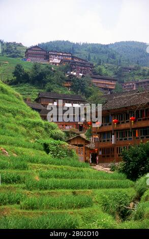 Il popolo Zhuang (cinese: 壮族; pinyin: Zhuàngzú; Zhuang: Bouxcuengh) è un gruppo etnico che vive principalmente nella regione autonoma di Guangxi Zhuang nella Cina meridionale. Alcuni vivono anche nelle province di Yunnan, Guangdong, Guizhou e Hunan. Essi formano uno dei 55 gruppi etnici minoritari ufficialmente riconosciuti dalla Repubblica Popolare cinese. Con i Buyi, Tay–Nùng e altri diffusori di Tai del nord, sono a volte conosciuti come Rau o Rao. La loro popolazione, stimata in 18 milioni di persone, li mette al secondo posto solo per i cinesi Han e rende il Zhuang la più grande minoranza in Cina. Longji (Dragon' Foto Stock