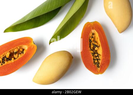 Layout creativo fatto di frutta e foglie tropicali estive Foto Stock