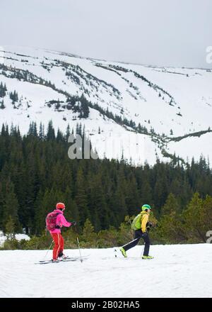 Vista laterale Coppia di sci di fondo maschile e femminile con zaini a piedi e esercizio di sci in montagna vicino alla foresta di conifere invernali. Montagna innevata in piena altitudine sullo sfondo Foto Stock